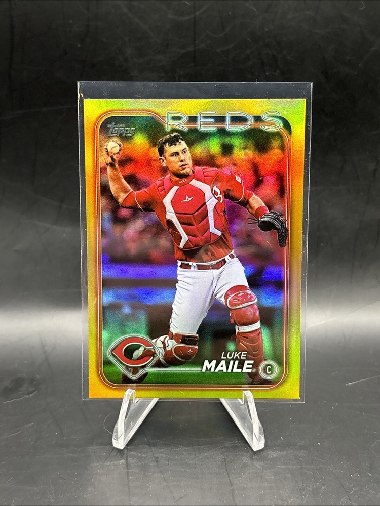 2024 Topps Update Series - Gold Rainbow Foil #US167 Luke Maile