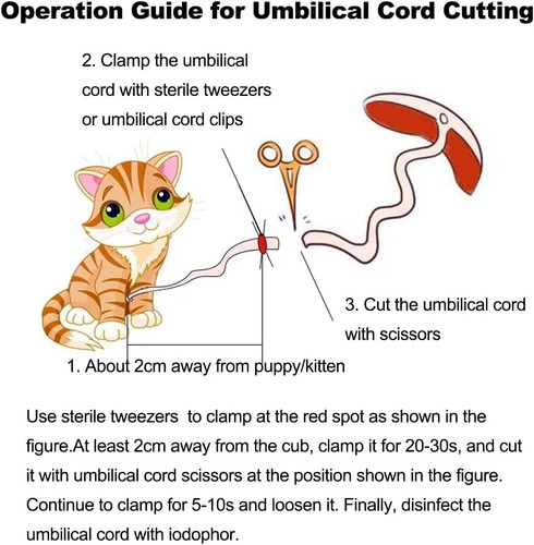 WEEGEEKS Whelping Kit,Whelping Kit for Puppies Birth with 12Pcs Whelping Collars - Picture 7 of 7