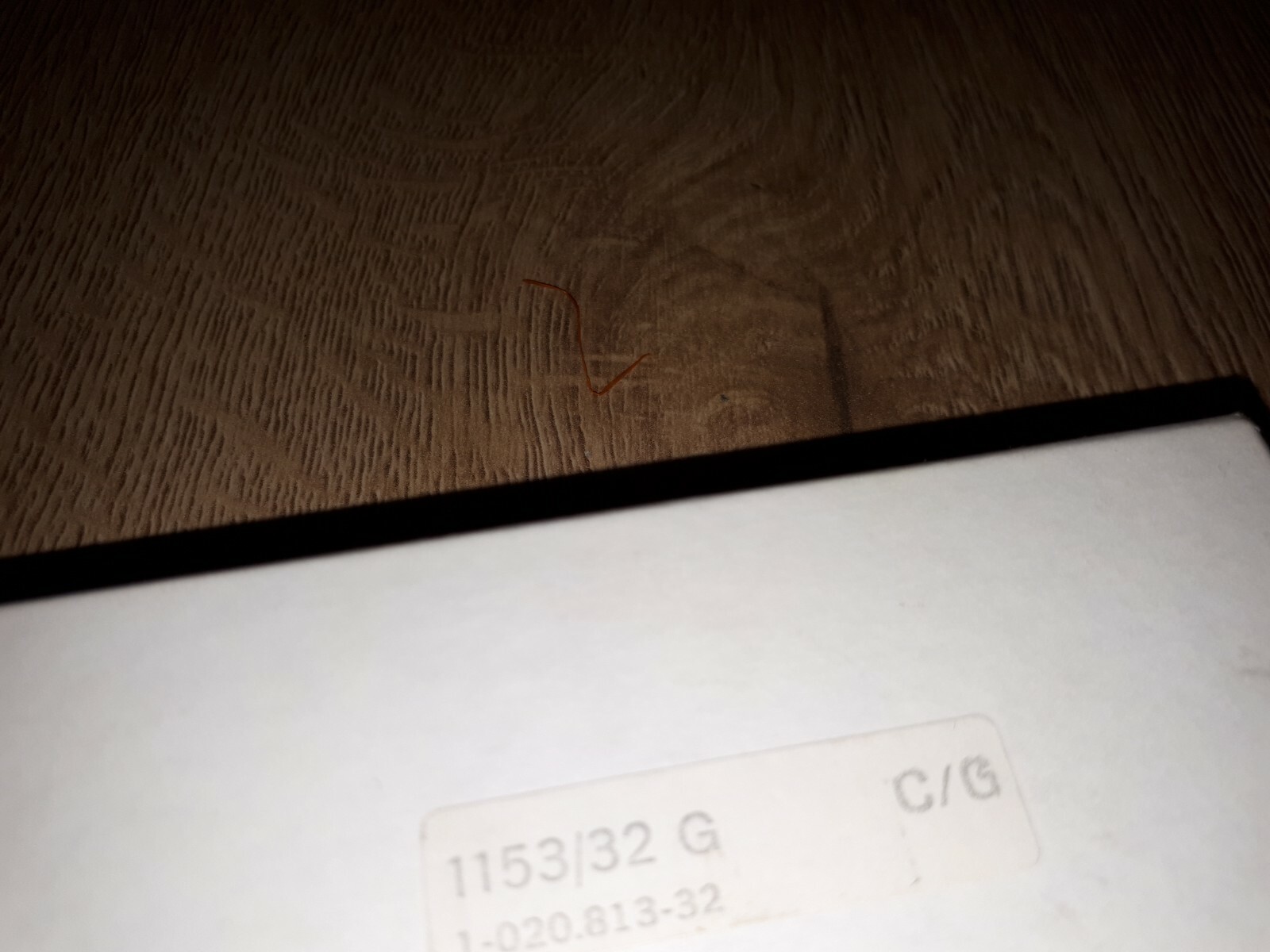 Bild 12 von 12