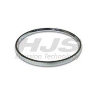 HJS 83 14 1973 Dichtung Abgasrohr Auspuffdichtungen FüR Opel Astra G CC F48