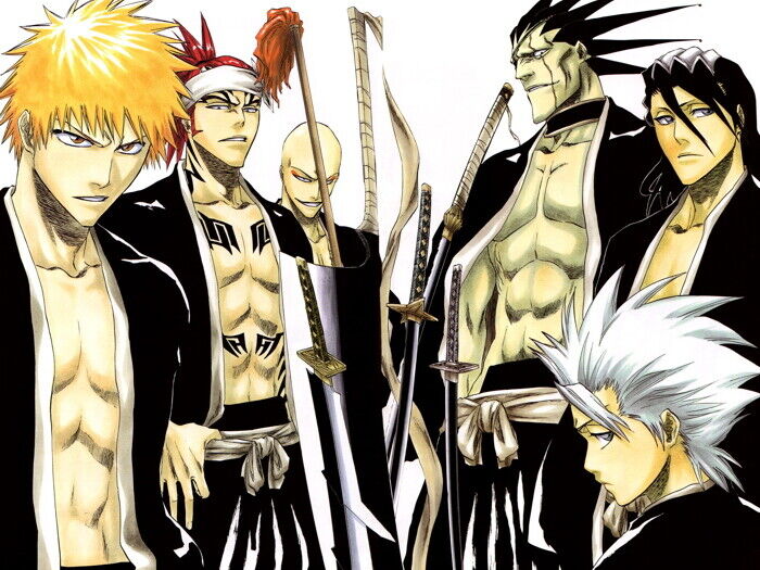 V2152 Bleach Character Anime Manga Art Decor WALL POSTER PRINT