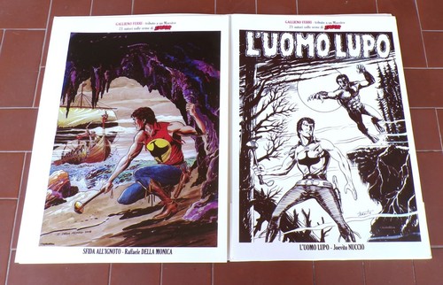 Portfolio GALLIENO FERRI Tributo a un maestro 21 AUTORI sulle orme di ZAGOR - Picture 3 of 9