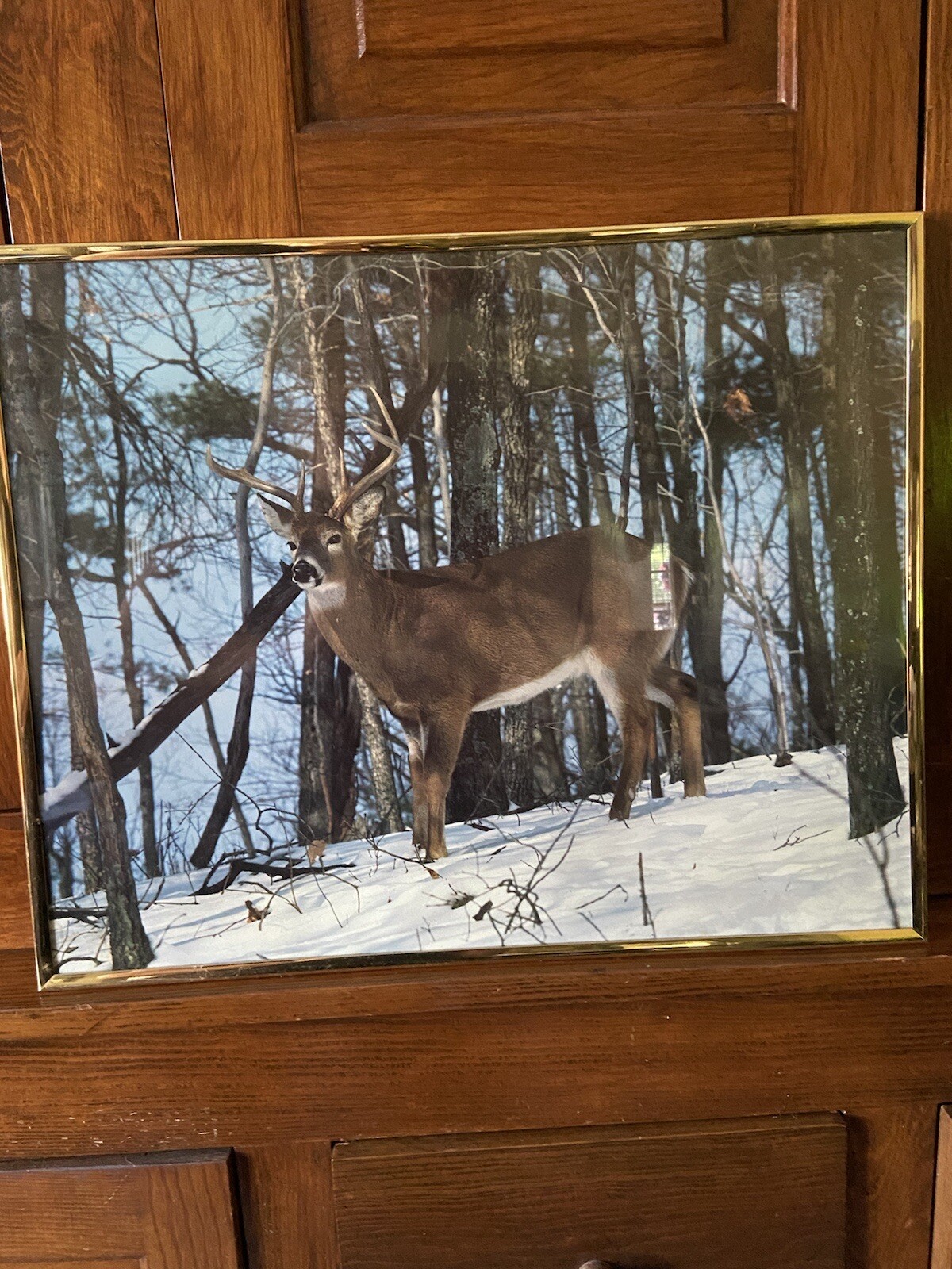 Vintage Saint Chateaux Gallery Deer Print eBay