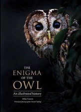 The Enigma of the Owl: An Illustrated Natural History, Tipling, David,Unwin, Mik