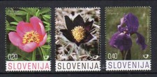 STAMPS - SLOVENIA - SLOVENIA - 2008 - FLEURS - FLOWERS - FLOWERS -  