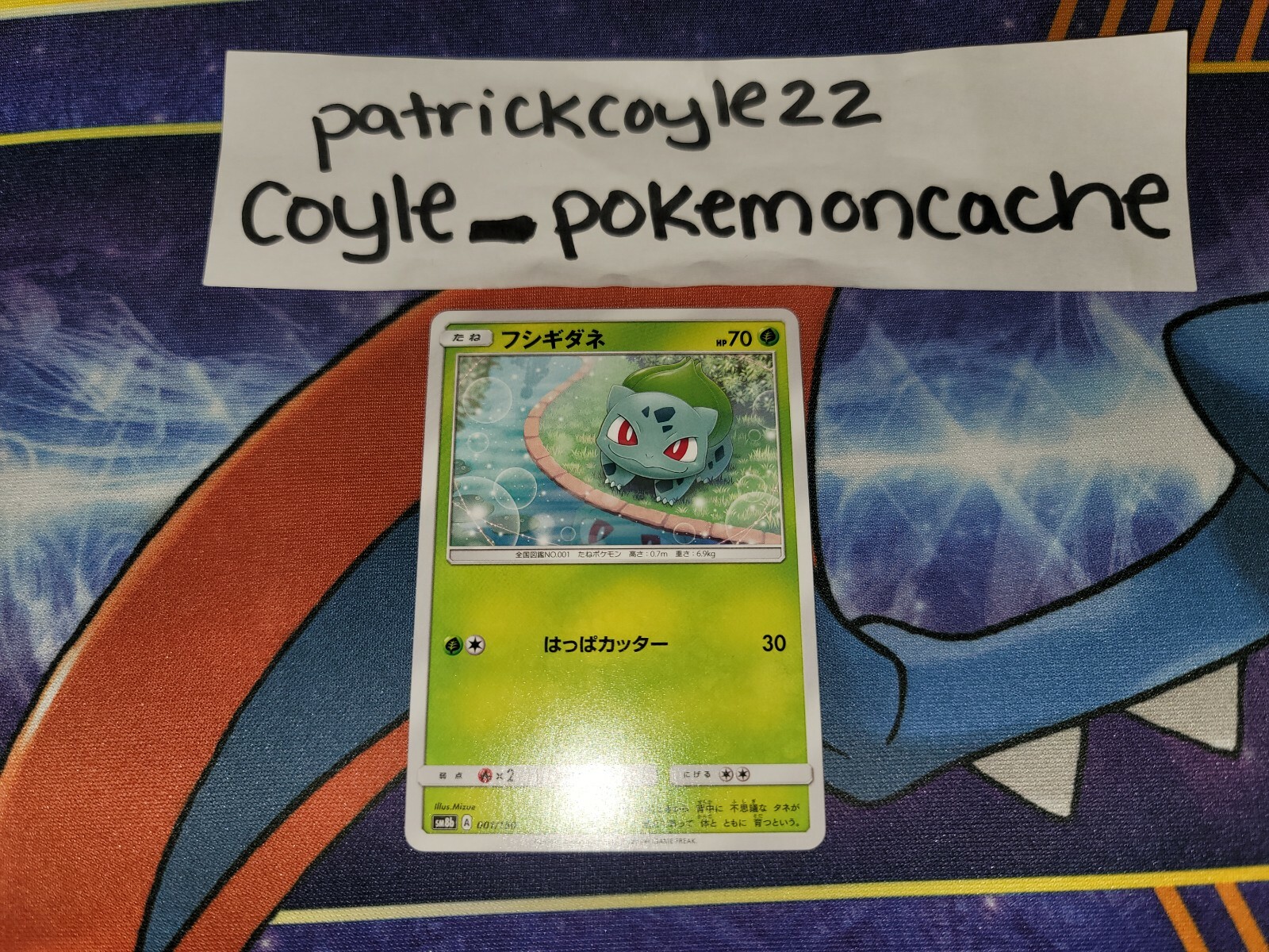 Bulbasaur Japanese Card GX Ultra Shiny SM8b 001/150 NM