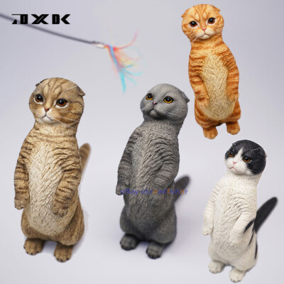 JXK 1/6 Scottish Fold Model Cute Cat 2.0 Animal Collector Decor Gift Painted