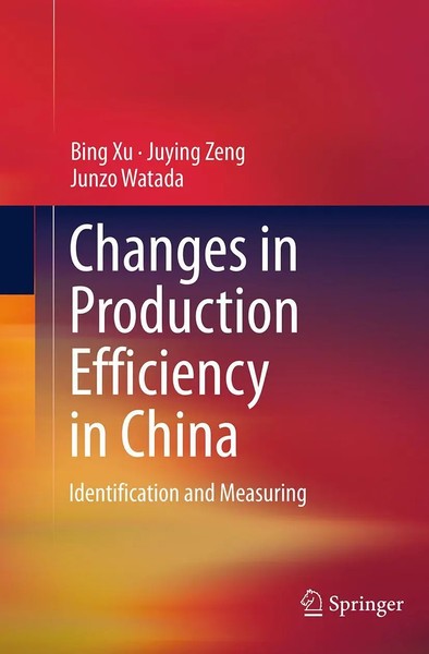 Bing Xu (U. A.) | Changes In Production Efficiency In China | Taschenbuch (2016)-image