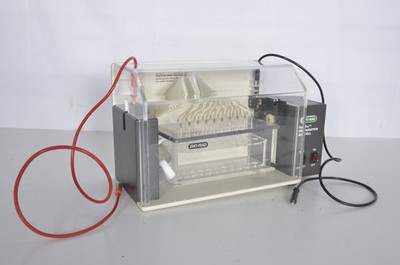 Bio-Rad Rotofor Preparative IEF Cell Plus Test Tube Vacuum Chamber ? Powers On