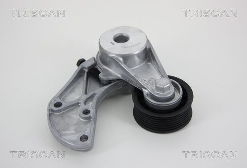Triscan Spannarm, Keilrippenriemen 8641 293034 FüR Audi Porsche VW-image