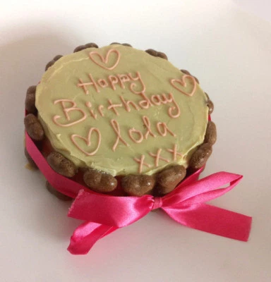 DOG BIRTHDAY CAKE PEANUT BUTTER treat puppy gift Christmas pink white