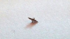 Hamilton 987A 607206 staff balance 723, NEW, for watch repair