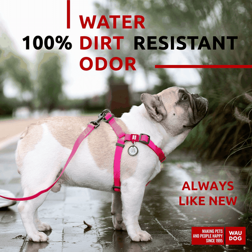 Waterproof Dog Harness Adjustable Dog Harness for Large Dogs Small and Medium - Picture 2 of 6