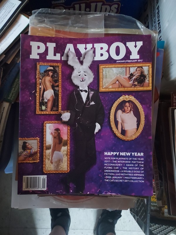 PLAYBOY Magazine January February 2017 miss January Bridget Malcolm