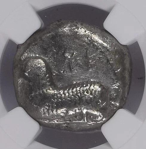 CYPRUS Salamis 480-460 BC Crouching Ram Cypriot Old Silver NGC Greek Coin D011
