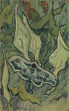Hand-painted Oil Painting Vincent van Gogh Great Peacock Moth 