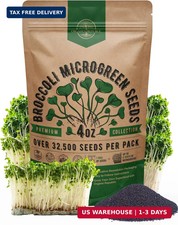 Organo Republic Broccoli Sprouting Microgreens Seeds - 32,500 Non-GMO Heirloom