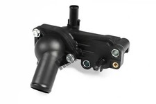 Thermostat Ford P 100