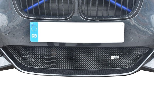 BMW M140I - Unterer Grill - Silbern (2016 - )-image