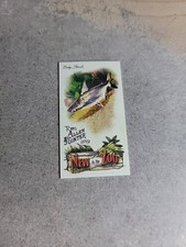 2019 Topps Allen and Ginter Mini New to the Zoo #NTTZ10 Baby Shark - BB