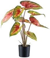 Artplants KüNstliche Caladium Staher, Wurzeln, Rot-GrüN, 55Cm