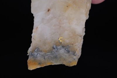 Gold and Telluride Ore Specimen from Jason s Gold Mine (25-0049)
