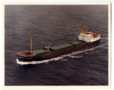 La0104 - Norwegisches Frachtschiff - Bulk Pioneer, Baujahr 1967 - Foto 10''x8''
