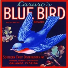Blue Bird Brand Orange Orlando Florida Citrus Fruit Crate Label Art Print