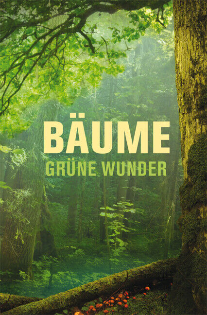 Thumbnail - Katrin Pieper / Bäume - Grüne Wunder
