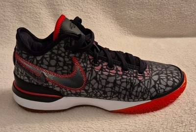 Nike Zoom Lebron Nxxt Gen 