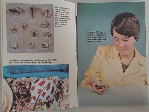 Land Hermit Crabs by Paul J. Nash Small Non-Fiction Paperback Book - Picture 8 of 8