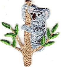 KOALA BEAR Iron On Patch Animals Australia Zoo
