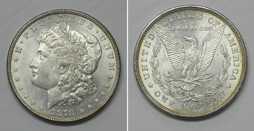 X7325  1878 8TF Morgan Dollar, Choice BU Semi Prooflike