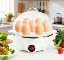 Egg Boiler Cooker Poacher Steamer Electric Boiled Eggs Omelette Maker Vegetable