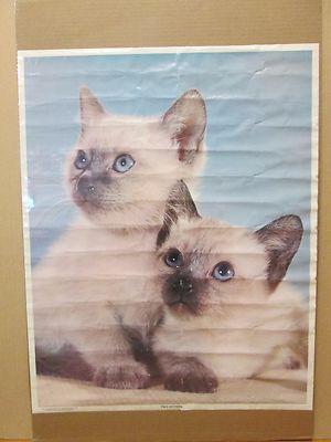 Vintage 1973 Two Kittens original cute cat poster 11373 | eBay