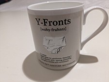 Y FRONTS Ceramic Mug Fields XXth Century Dictionary 9 cms Tall Roderick Field