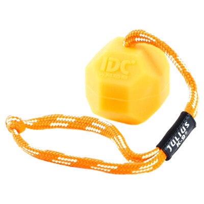 Julius-K9 IDC-Ball neonorange mit Schnur, fluoreszierend, Hundespielzeug
