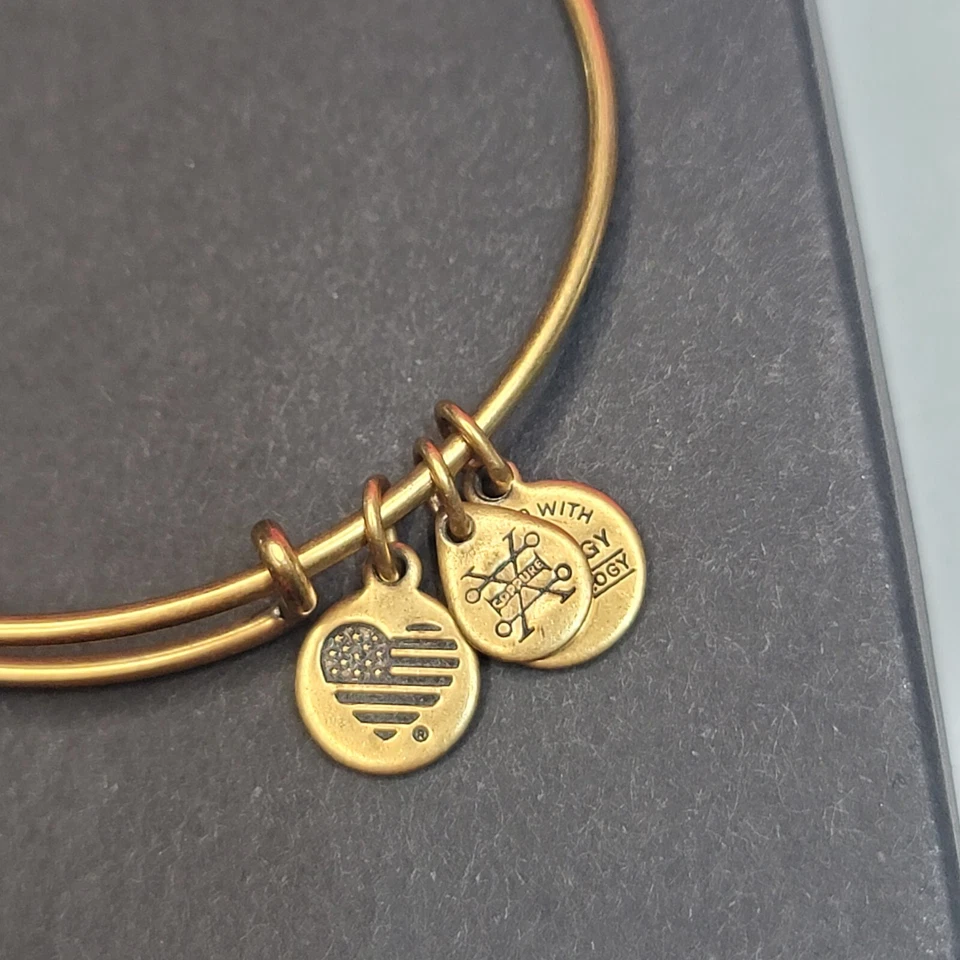 Pulsera Alex And Ani Miami Charm Foto 4 de 4