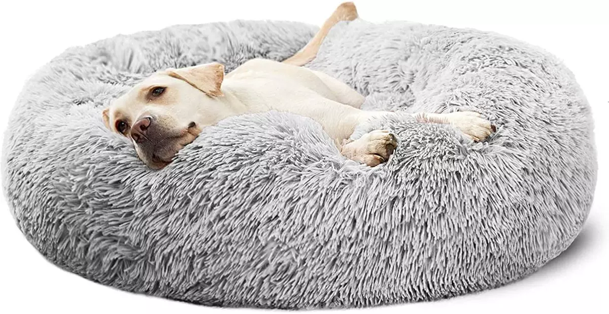 Ebay on sale dog beds