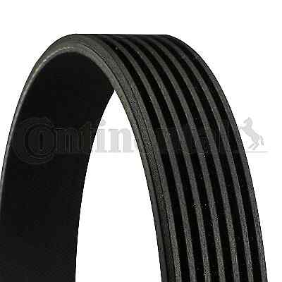 CONTINENTAL CTAM 7PK1051 ELAST V-RIBBED BELT FOR DACIA LADA RENAULT