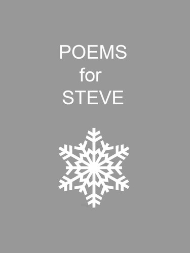Books for Steve, pages 16, printed 2025. paperback. Acceptable - Picture 2 of 2