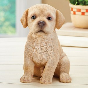 cute little labrador puppies