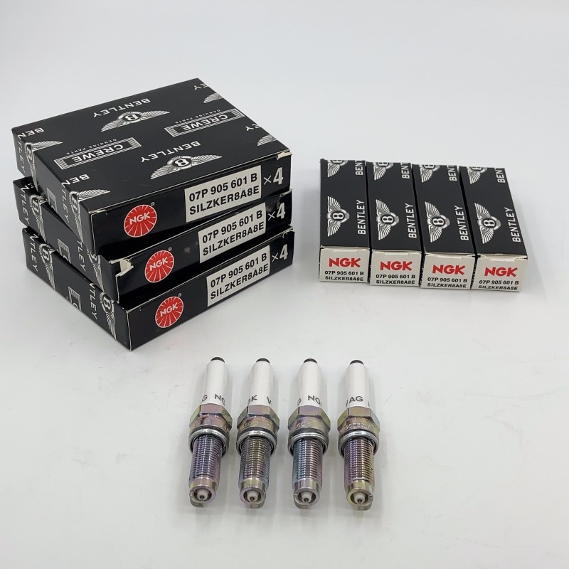 12X OEM Spark Plugs Fitting Bentley W12 6.0T 07P905601 A B W12