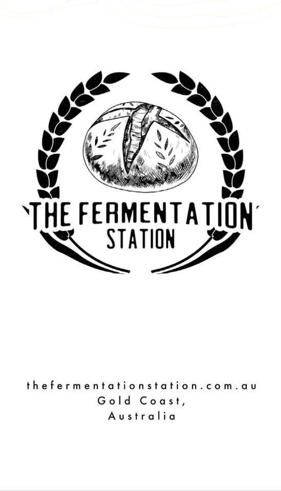 109 y/o French Sourdough Starter & Recipe - Organic Wheat - image 3 of 4