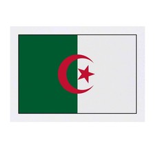 'Algeria Flag' Temporary Tattoos / Transfers TO00030672