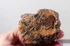 India King Cobra Lapidary 12.1 rough lot #4 — photo 2