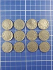 1936D Buffalo Nickels Lot of 12 Circulated