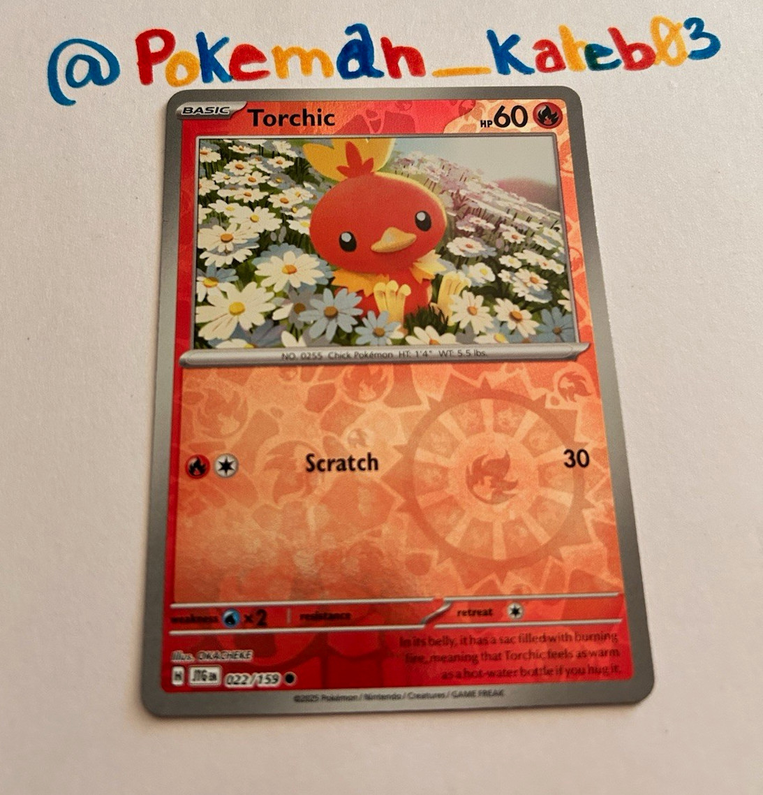 Pokemon TCG Torchic 022/159 SV06 Twilight Masquerade Reverse Holo 60 HP