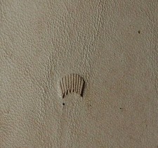  Tandy Leather CRAFTOOL Stamping Tool - FIGURE CARVING - F933