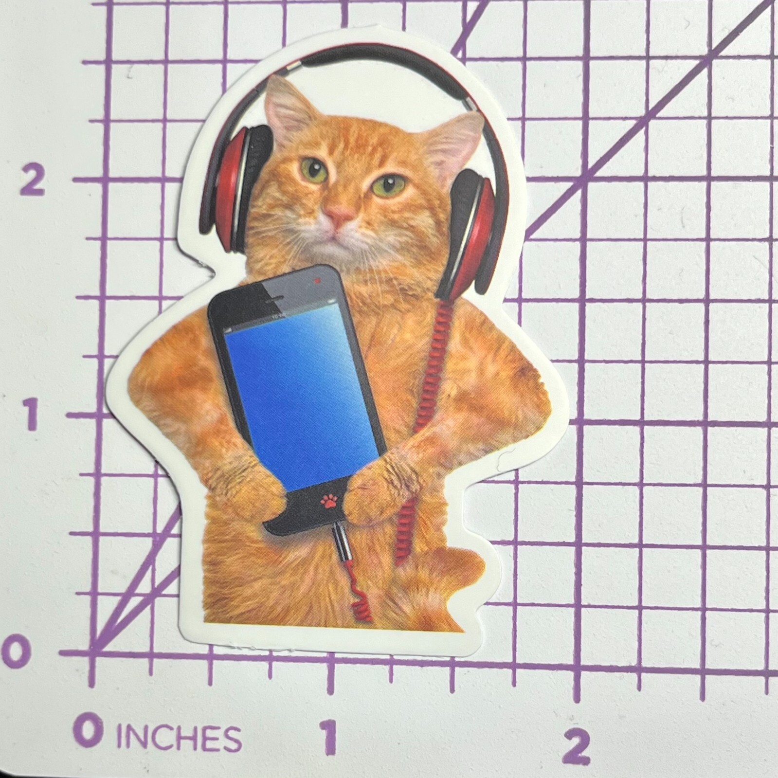 Red Beats Orange Kitty Humor iPad Funny Vinyl Sticker Decal-image